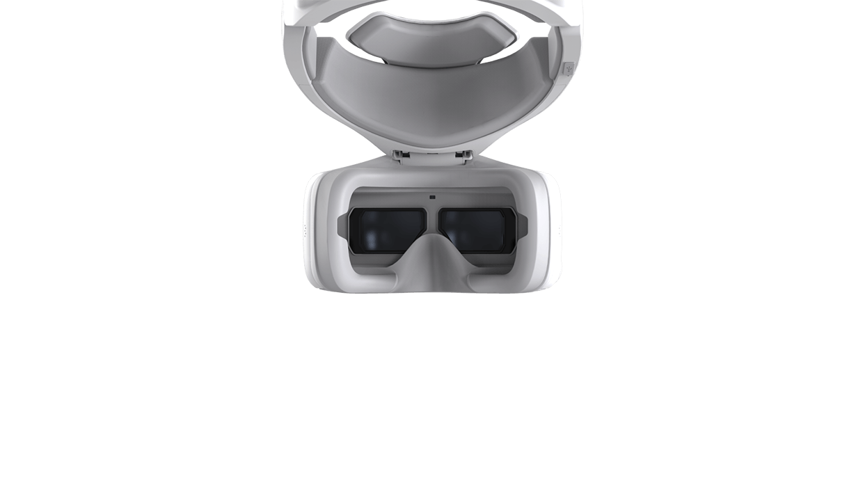 DJI Goggles